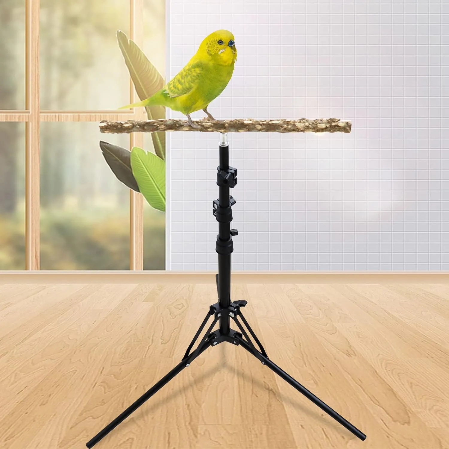 16-63 Inch Height Adjustable Natural Pepper Wood Parrot Perch, Indoor and Outdoor Bird Stand for Small to Medium Birds