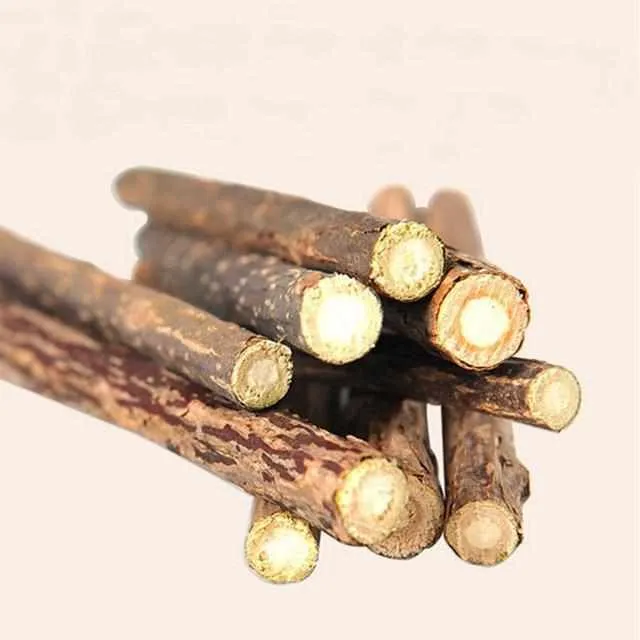 5PCS Matatabi Cat Teeth Cleaning Sticks