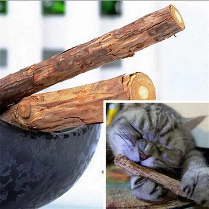 5PCS Matatabi Cat Teeth Cleaning Sticks