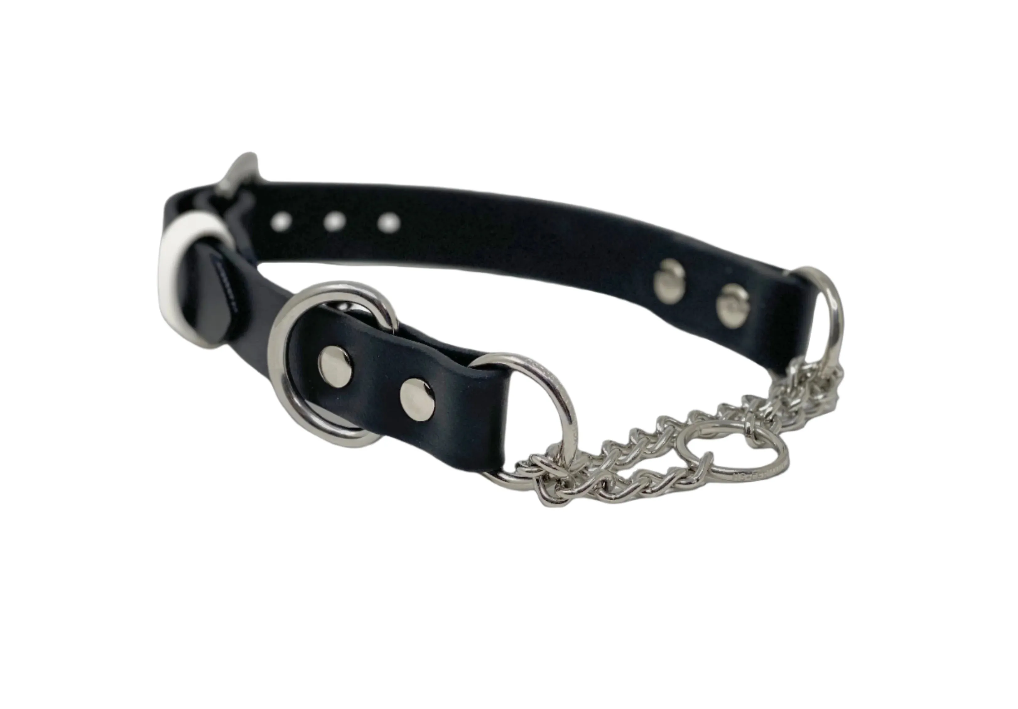 Adjustable Martingale Collar