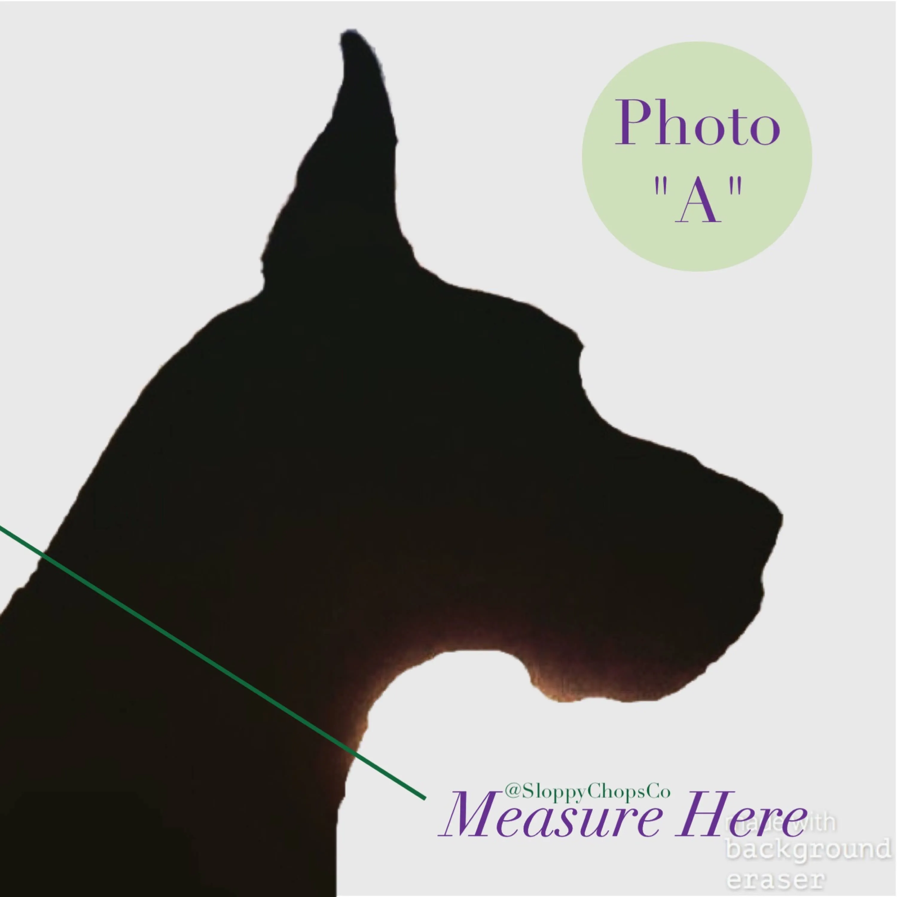 Adjustable Martingale Collar
