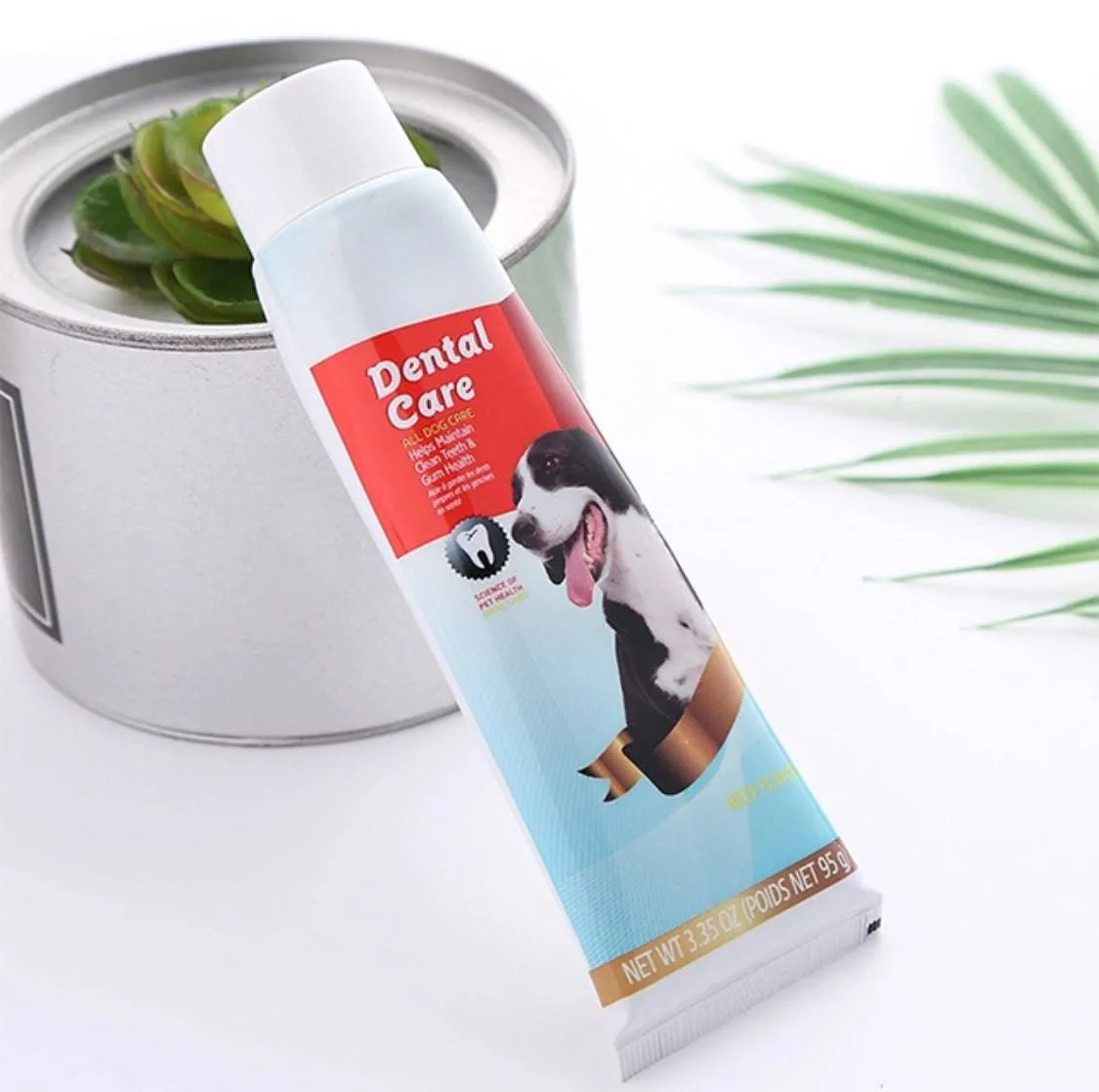 Beef Flavored Dog Toothpaste