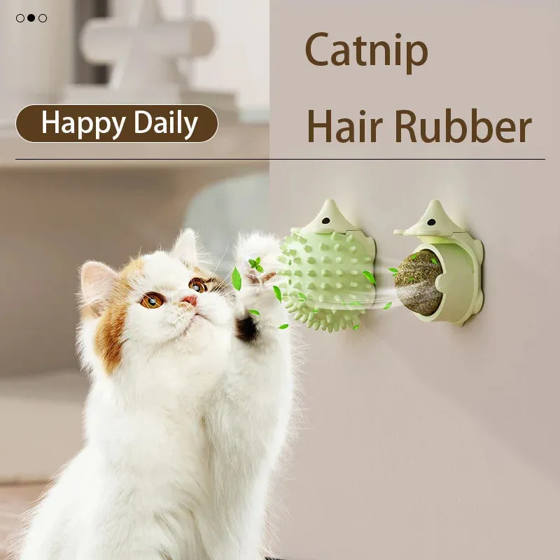Catnip Wall Ball Toy
