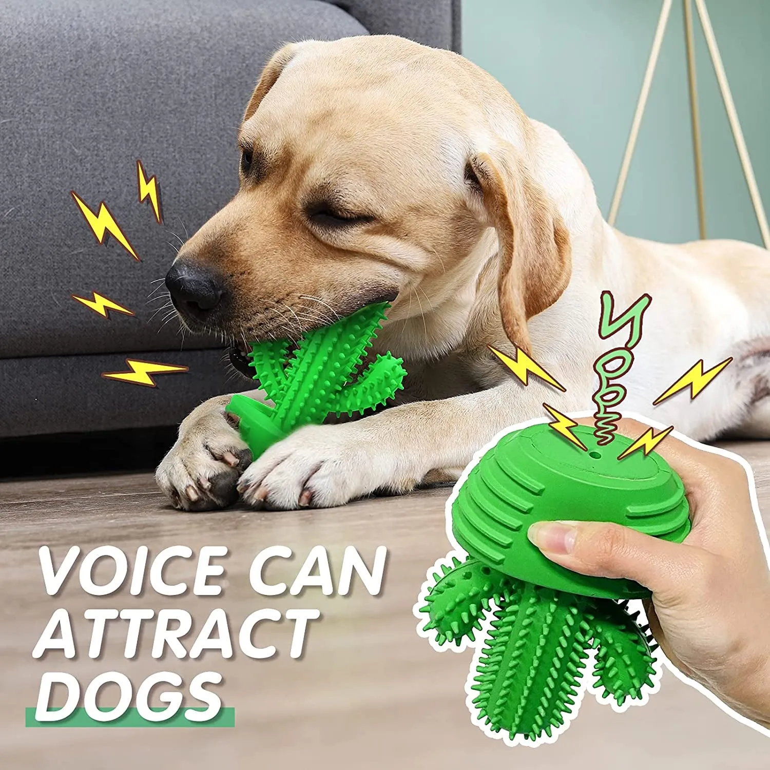 Dog Chew Toy & Toothbrush – Tough, Squeaky, & Interactive for Medium & Large Dogs