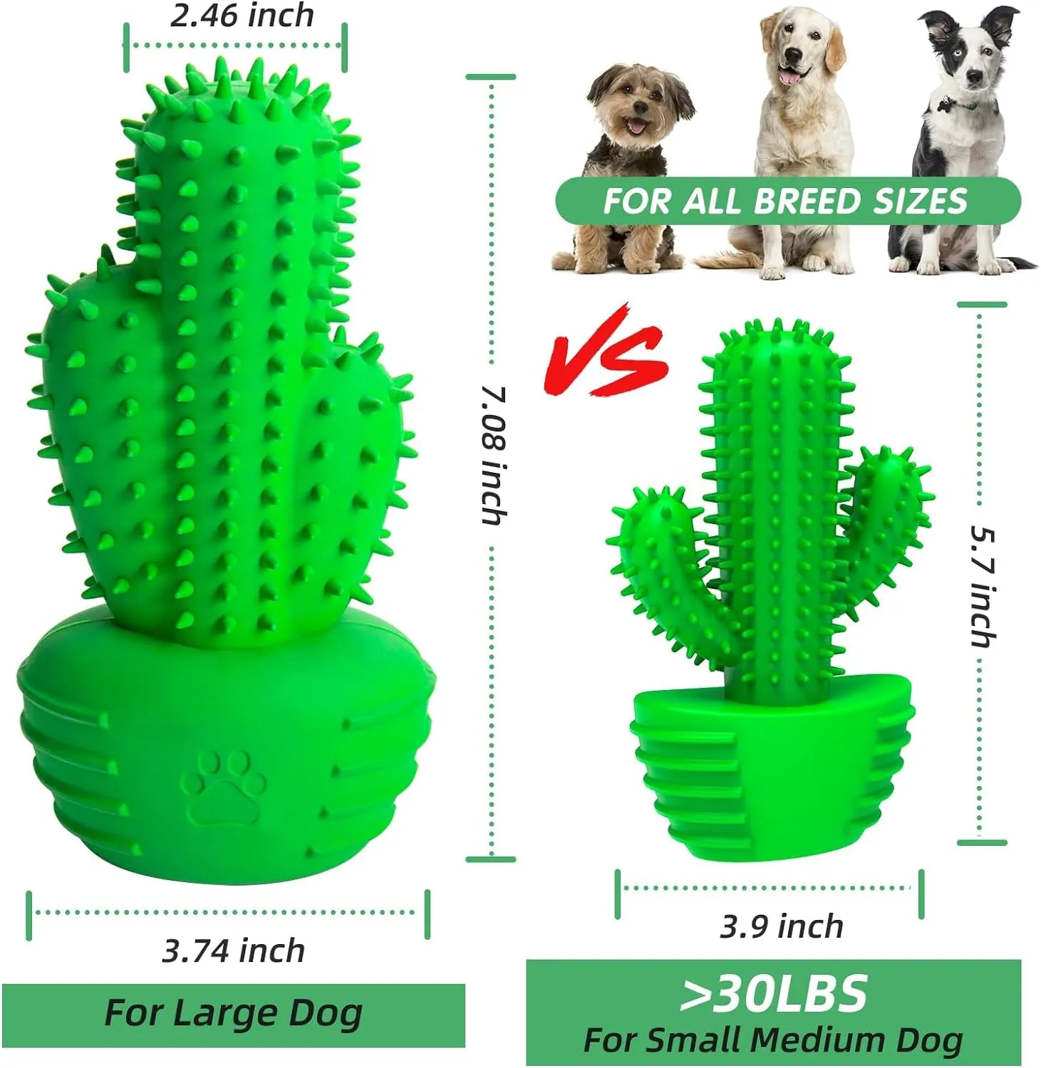 Dog Chew Toy & Toothbrush – Tough, Squeaky, & Interactive for Medium & Large Dogs