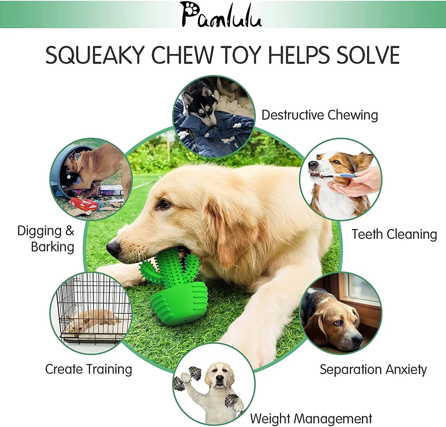 Dog Chew Toy & Toothbrush – Tough, Squeaky, & Interactive for Medium & Large Dogs