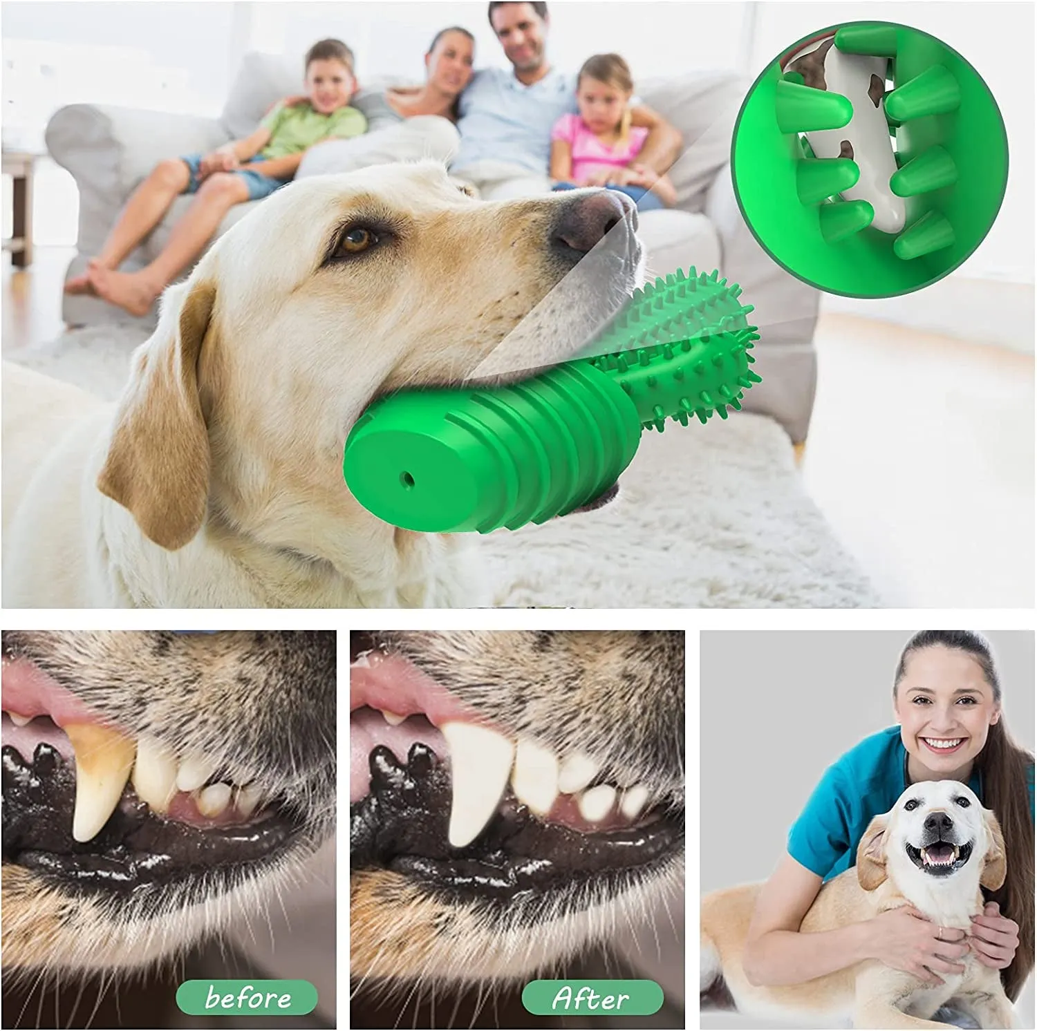 Dog Chew Toy & Toothbrush – Tough, Squeaky, & Interactive for Medium & Large Dogs