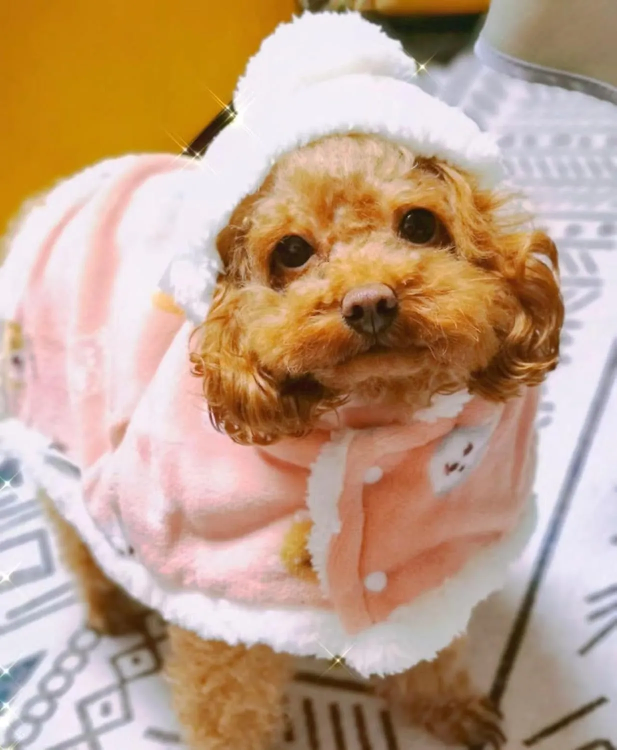 Dog Clothes Fleece Winter Coat Warm Soft Dog Vest for Cold Weather,Flannel Blanket Throw Multi-use Pet Apparel for Small Medium Dogs & Cats (S Pink)