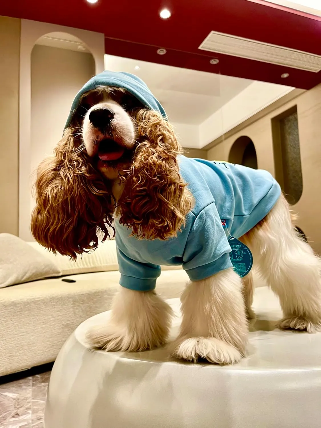 Dog Hoodie Soft Warm Sweater Winter Hooded Clothes Plaid Shirts- Puppy Sweatshirts for Small Medium Large Dogs & Cats(Large)