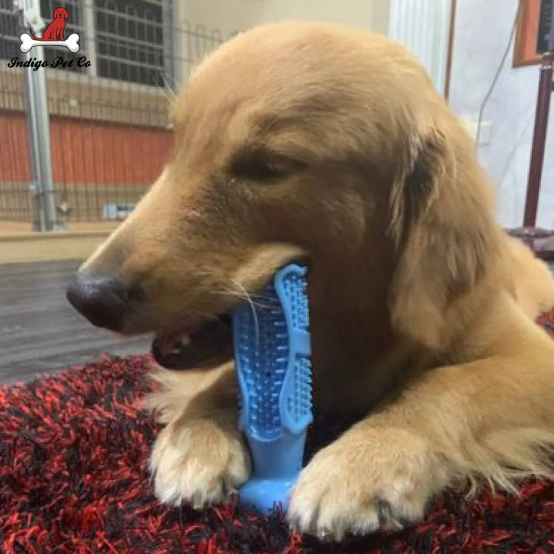 Dog Tooth Brushing Stick