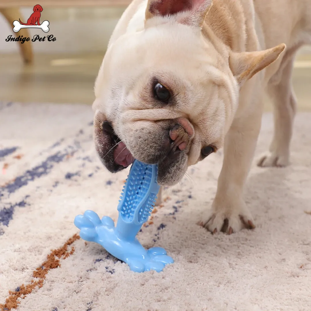 Dog Tooth Brushing Sticks & Toothpaste Set