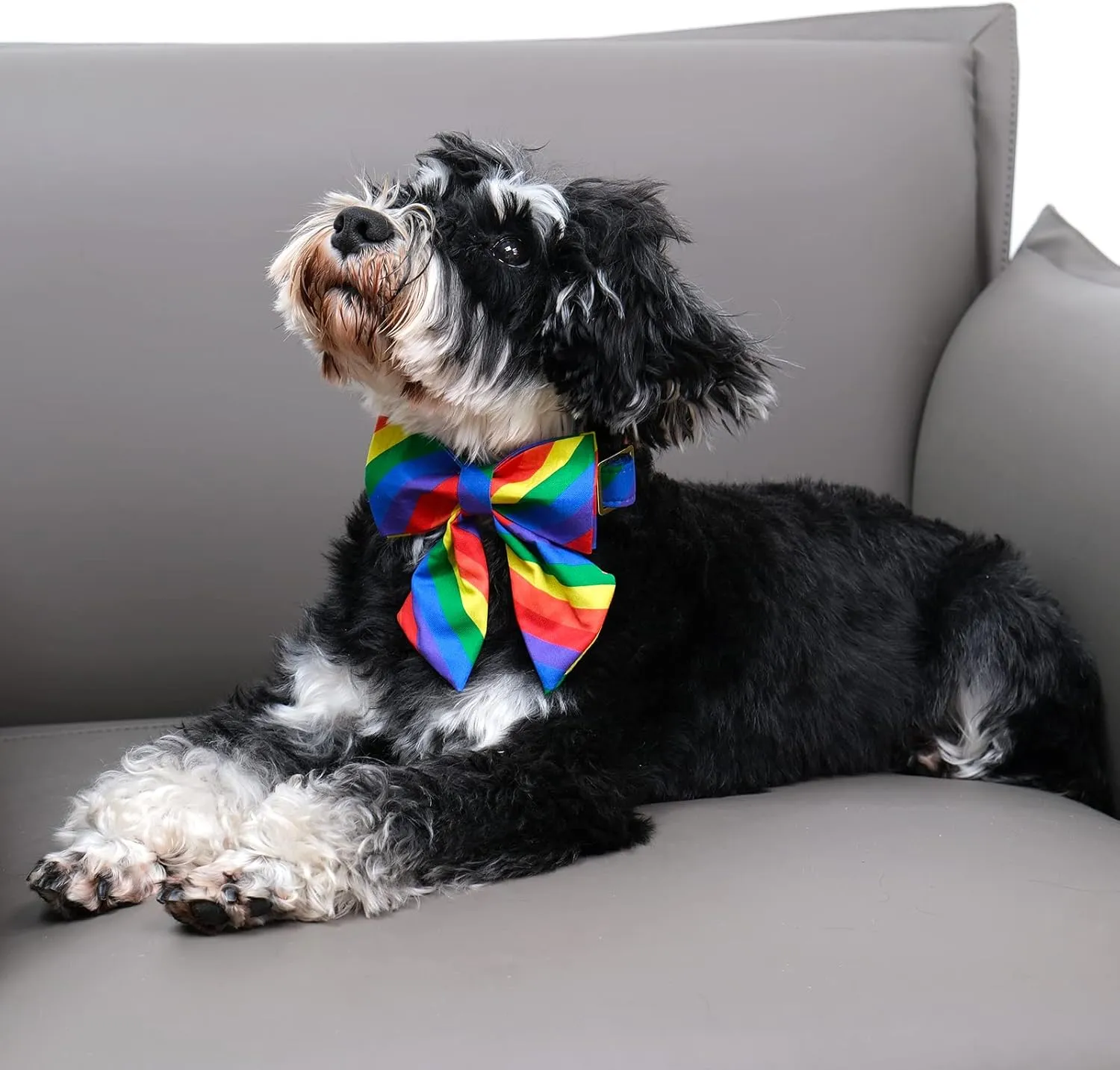 DOGWONG Rainbow Dog Collar with Pretty Bow Tie for LGBT Pride Month - Adjustable and Comfortable LGBTQ Collar for Large Medium Small Pet