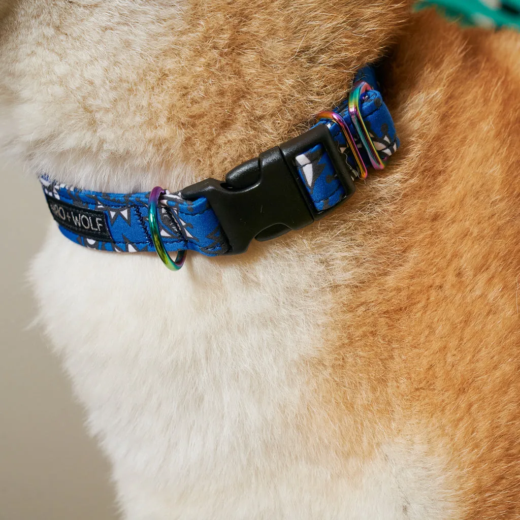 Eyes Adjustable Dog Collar