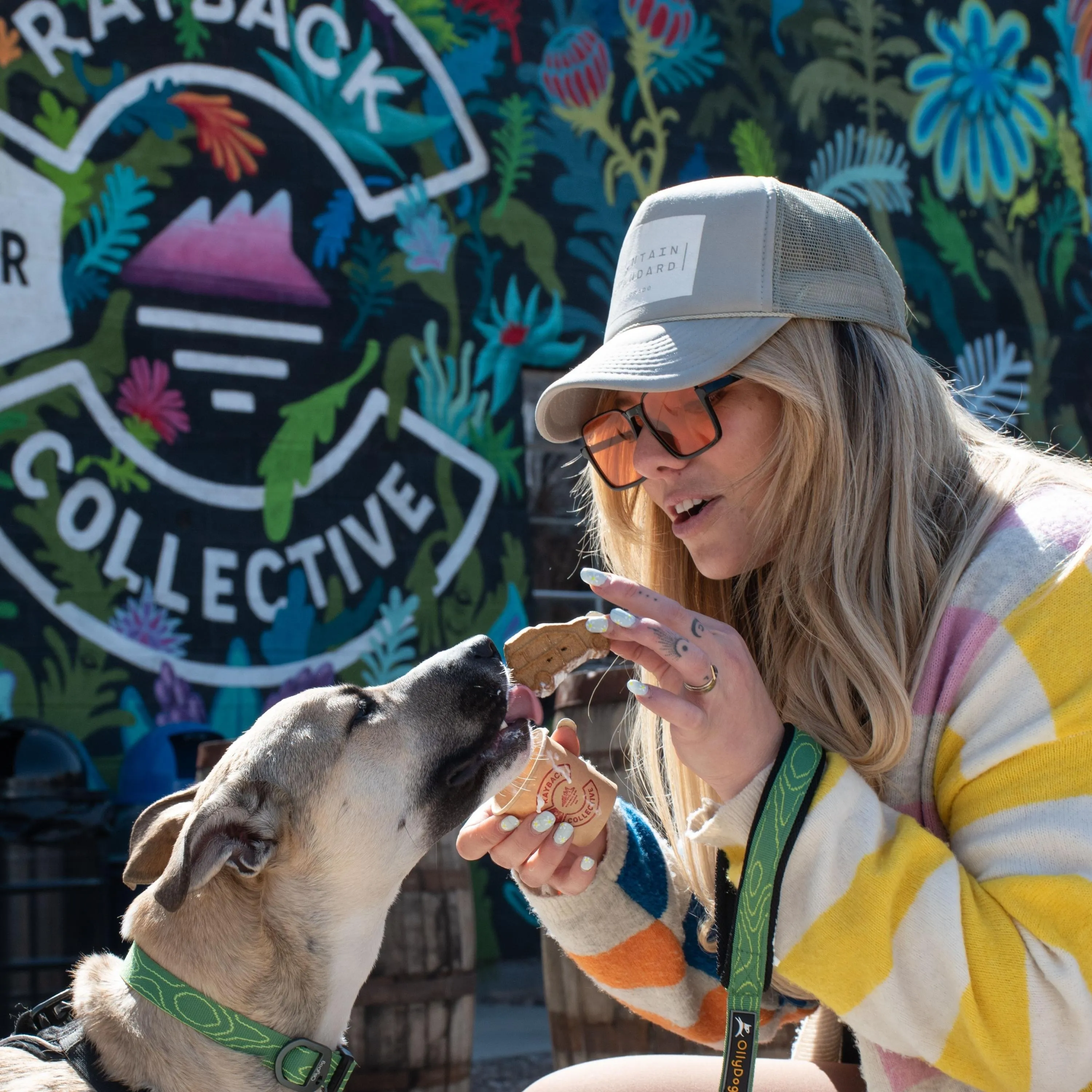 Flagstaff Collar | Adjustable Dog Collar