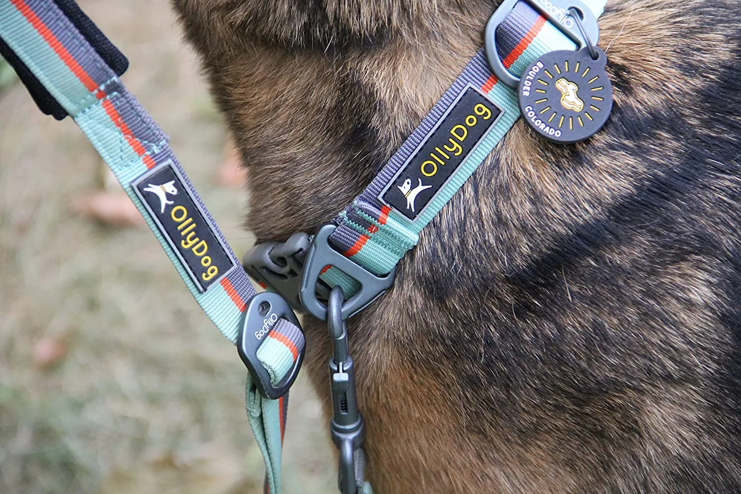 Flagstaff Collar | Adjustable Dog Collar
