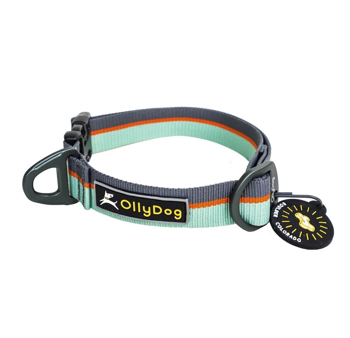 Flagstaff Collar | Adjustable Dog Collar