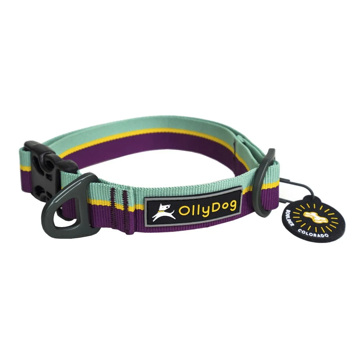Flagstaff Collar | Adjustable Dog Collar