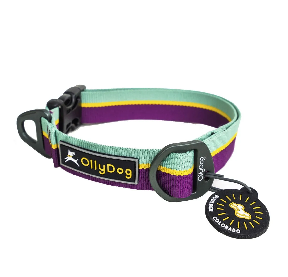 Flagstaff Collar | Adjustable Dog Collar