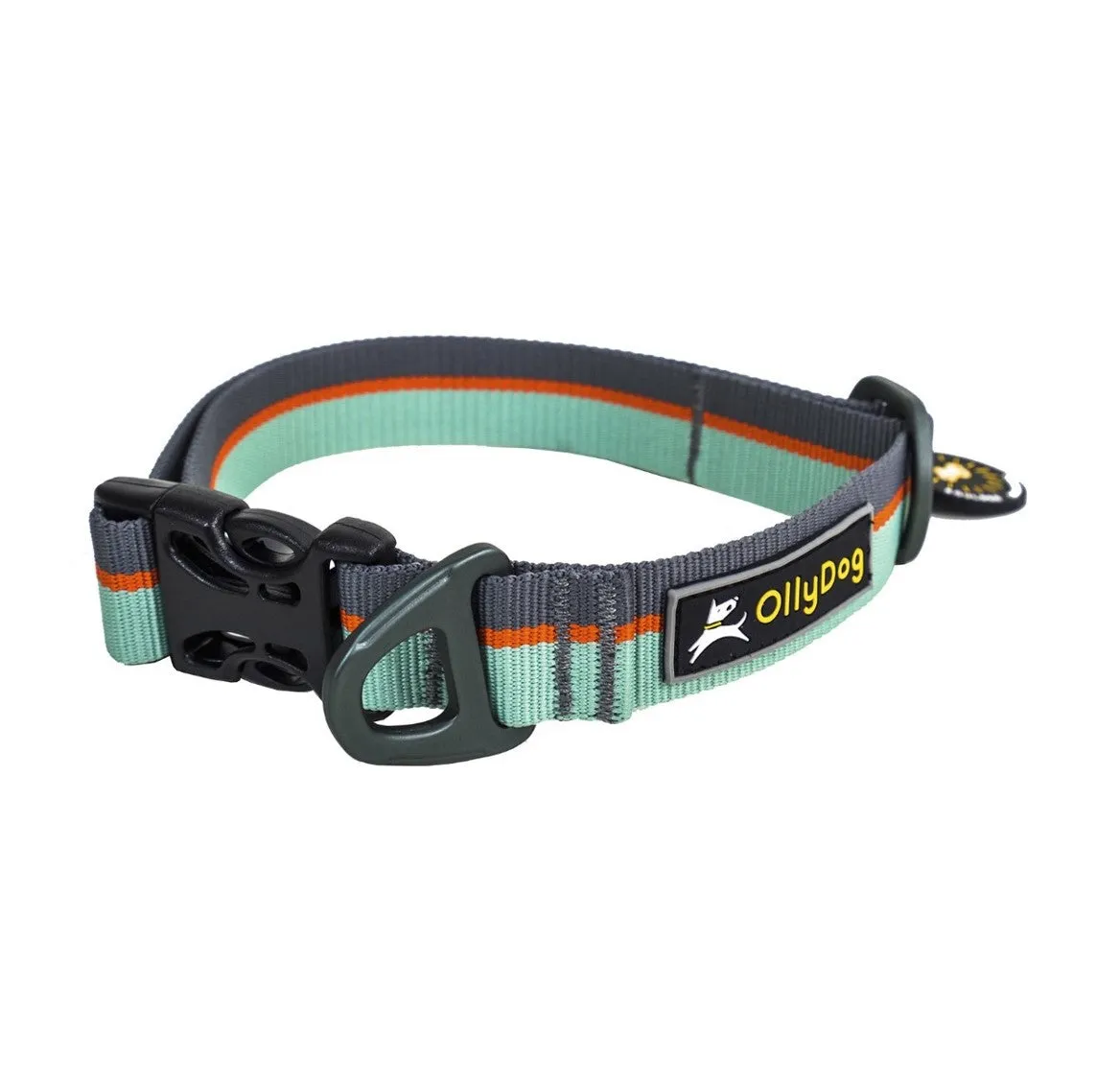 Flagstaff Collar | Adjustable Dog Collar