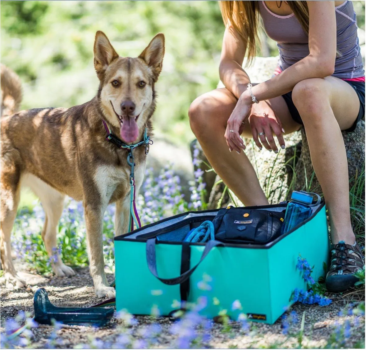 Flagstaff Collar | Adjustable Dog Collar