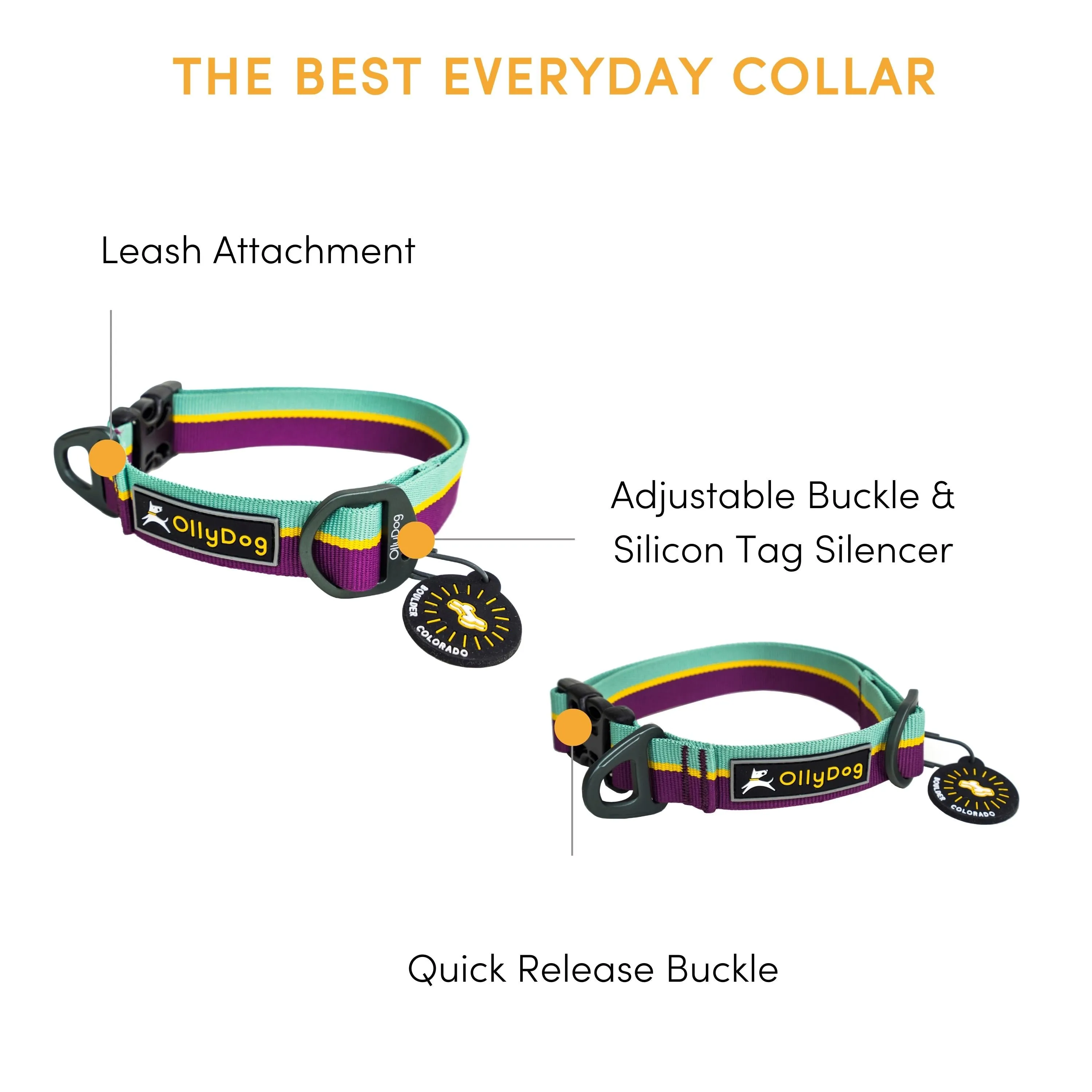 Flagstaff Collar | Adjustable Dog Collar