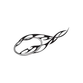Flaming Frisbee Golf Decal