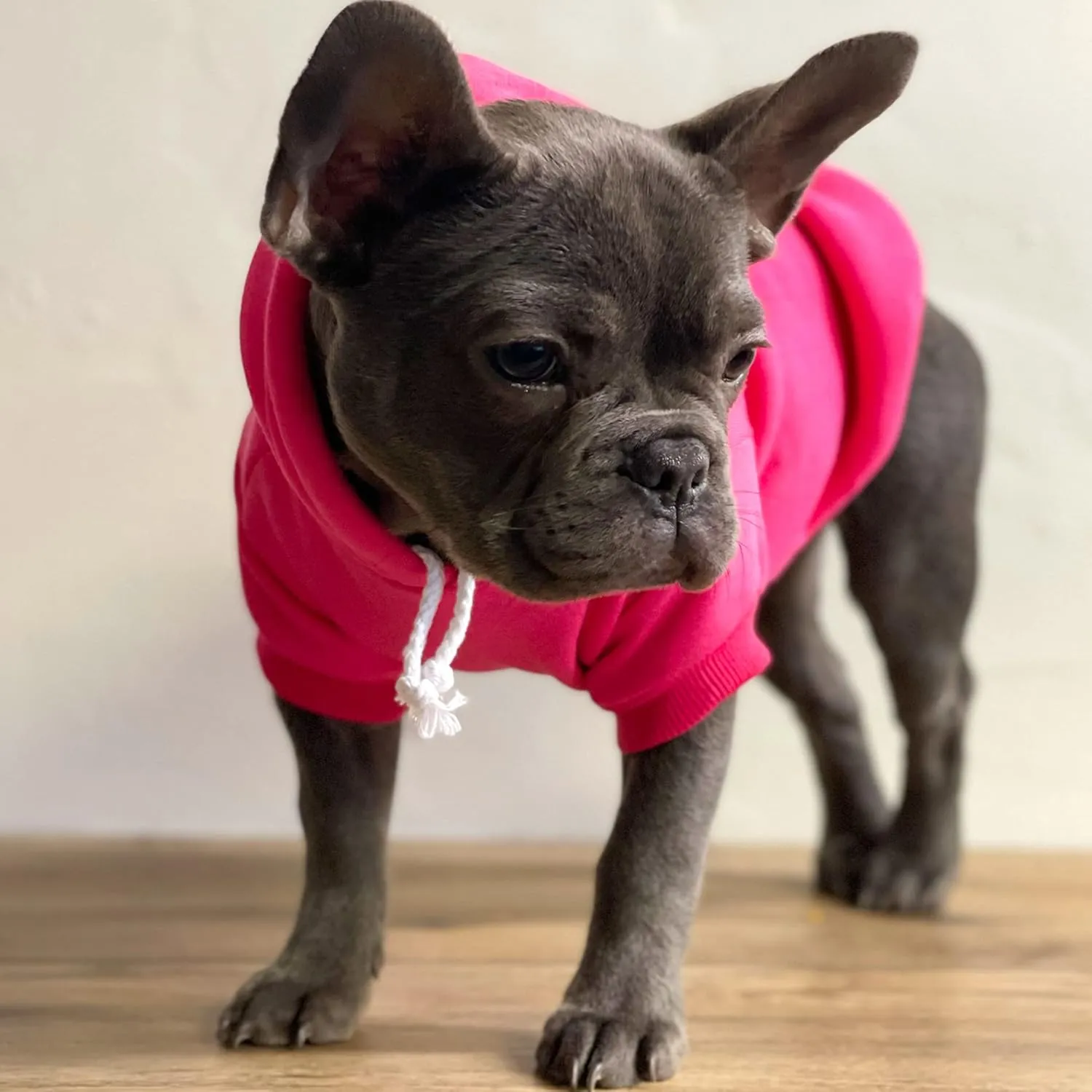 Free Kisses Dog Hoodie Fleece Lined Pullover Sweatshirt with Leash Hole (Grey, X-Small 727)