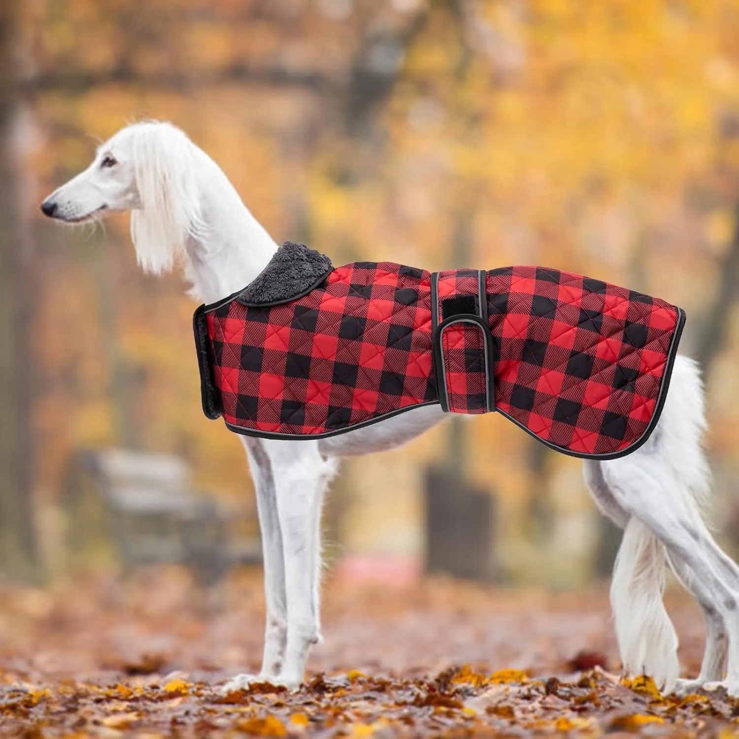 Geyecete Waterproof Greyhound Whippet Lurcher Dog Coat-with Warm Fleecy Lining Inside Outdoor Dog Apparel with Adjustable Bands for Medium, Large Dog-Red-XS
