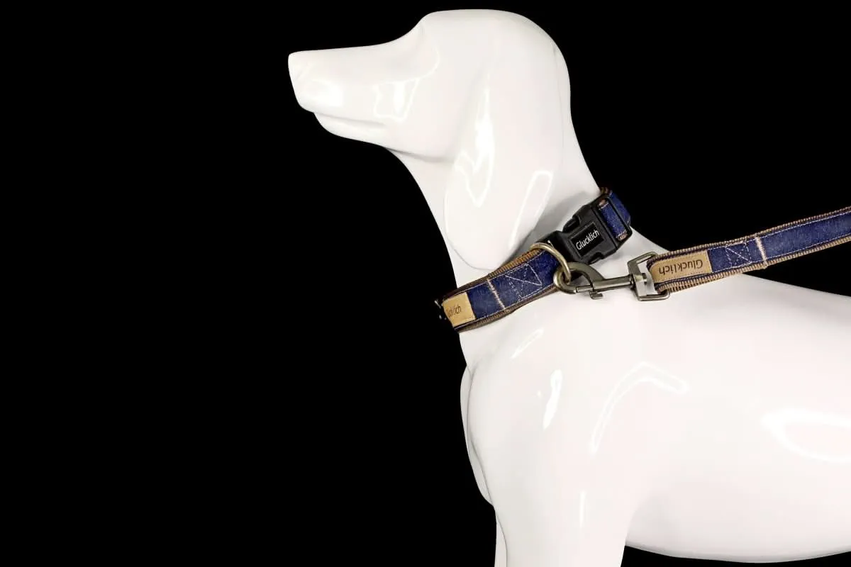 Glucklich Denim Adjustable Dog Collar