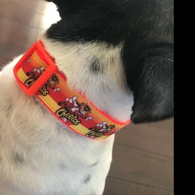 Grease dog collar Handmade adjustable buckle collar 1" wide or leash movie Petcollarshandmade