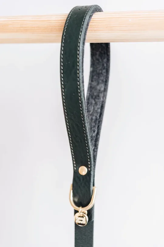 Hitch, Short Leather Dog Leash