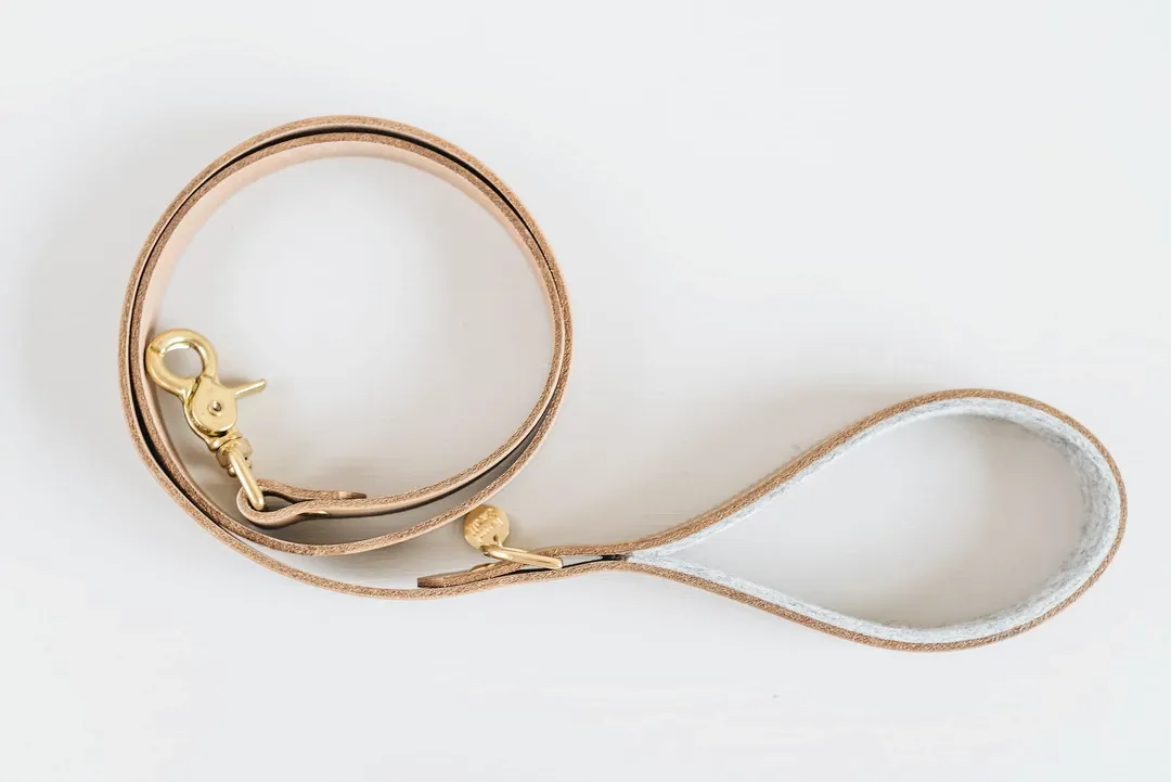 Hitch, Short Leather Dog Leash