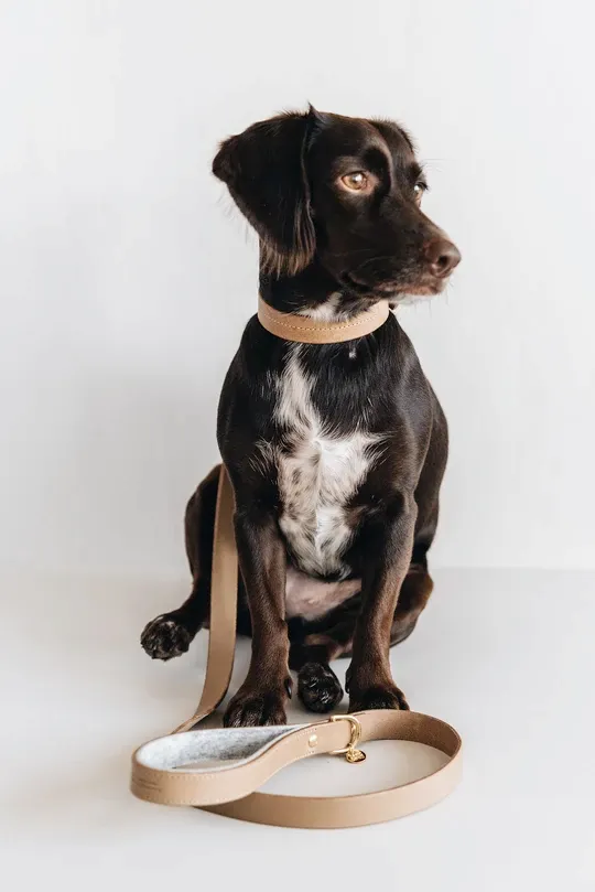Hitch, Short Leather Dog Leash