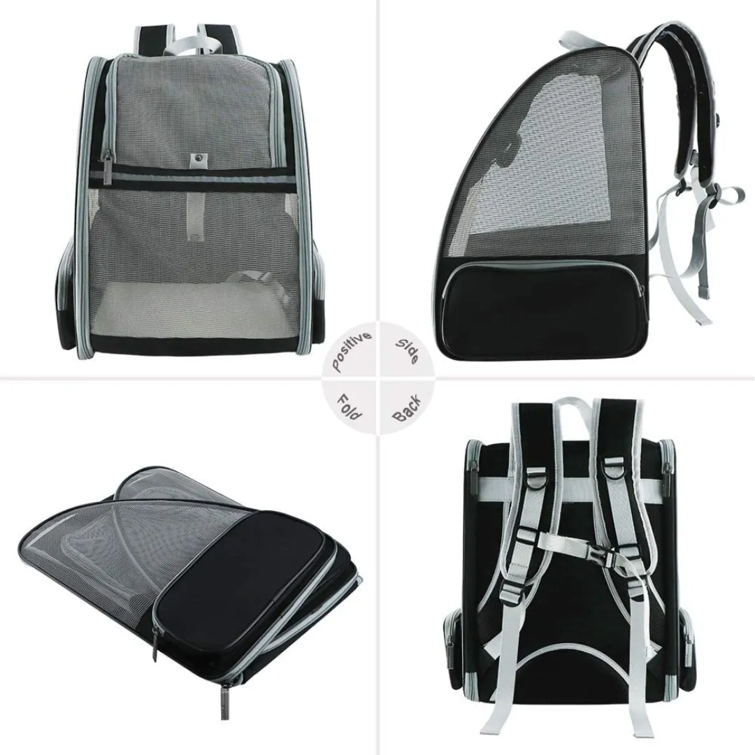 Innovative Backpack Pet Carriers