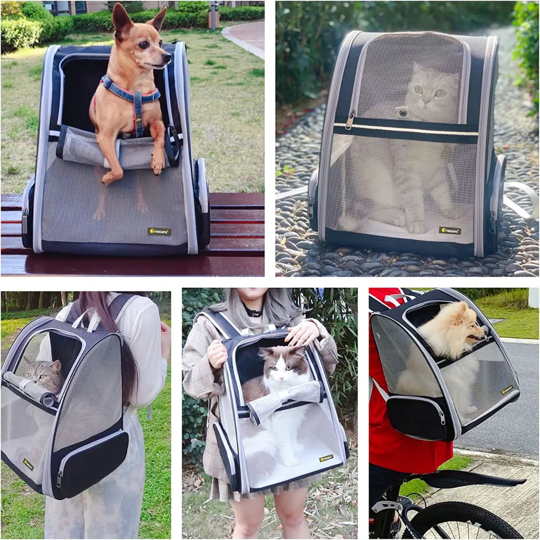 Innovative Backpack Pet Carriers