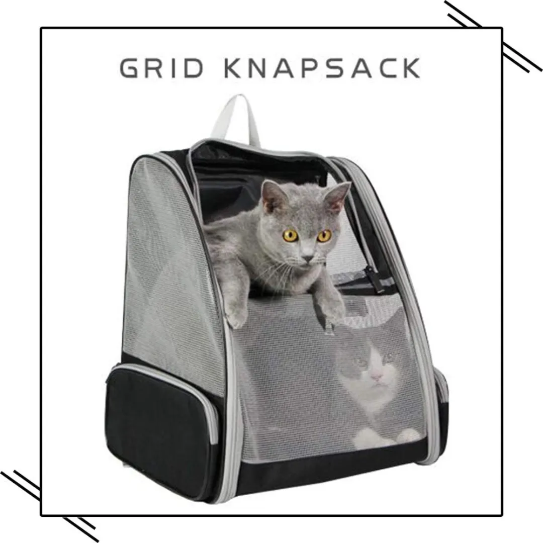 Innovative Backpack Pet Carriers