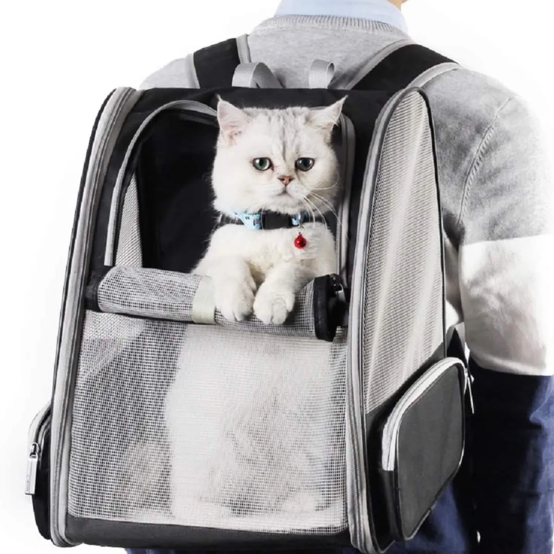 Innovative Backpack Pet Carriers