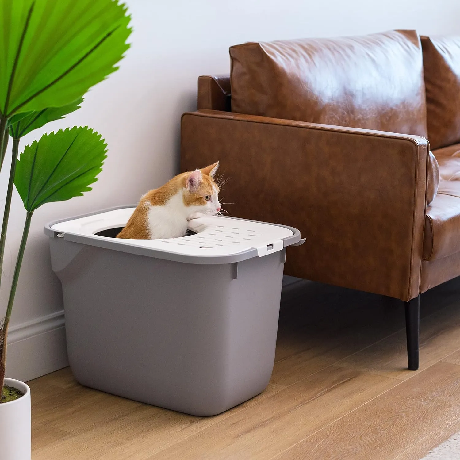 IRIS USA Cat Litter Box, Large Cat Box Enclosure, Top Entry with Litter Catching Lid, Enclosed, Gray/White