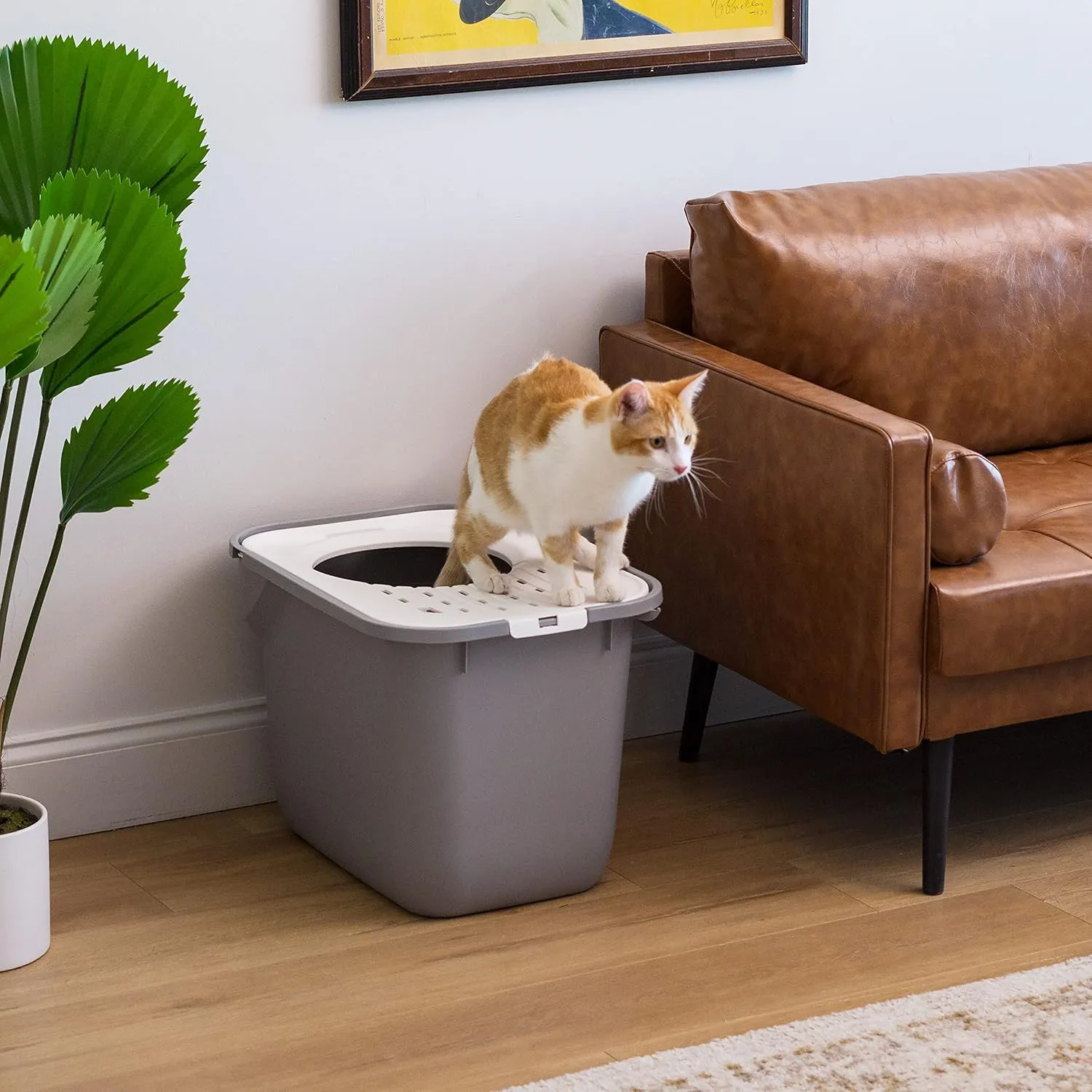 IRIS USA Cat Litter Box, Large Cat Box Enclosure, Top Entry with Litter Catching Lid, Enclosed, Gray/White