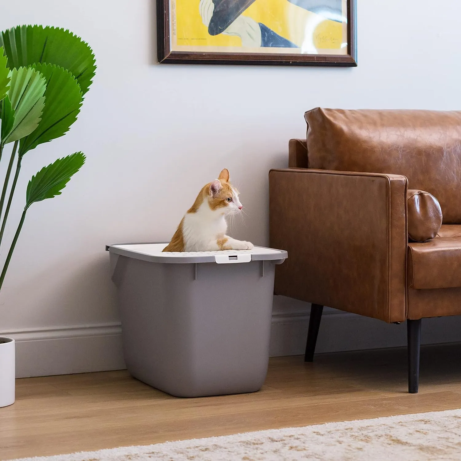 IRIS USA Cat Litter Box, Large Cat Box Enclosure, Top Entry with Litter Catching Lid, Enclosed, Gray/White
