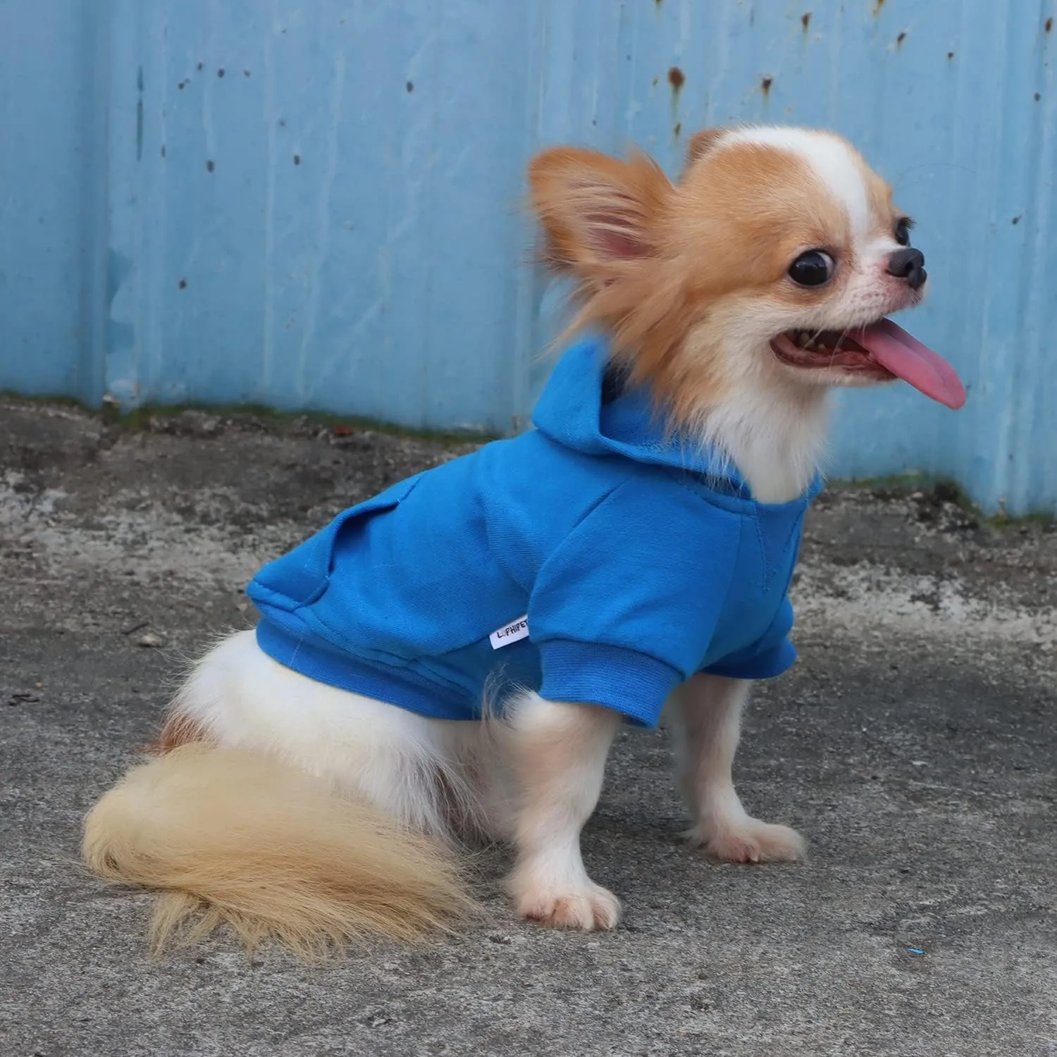 LOPHIPETS Lightweight Cotton Hoodie for Small Dogs  Hooded Sweatshirt for Chihuahuas Puppy and Toy Breeds-Blue/L