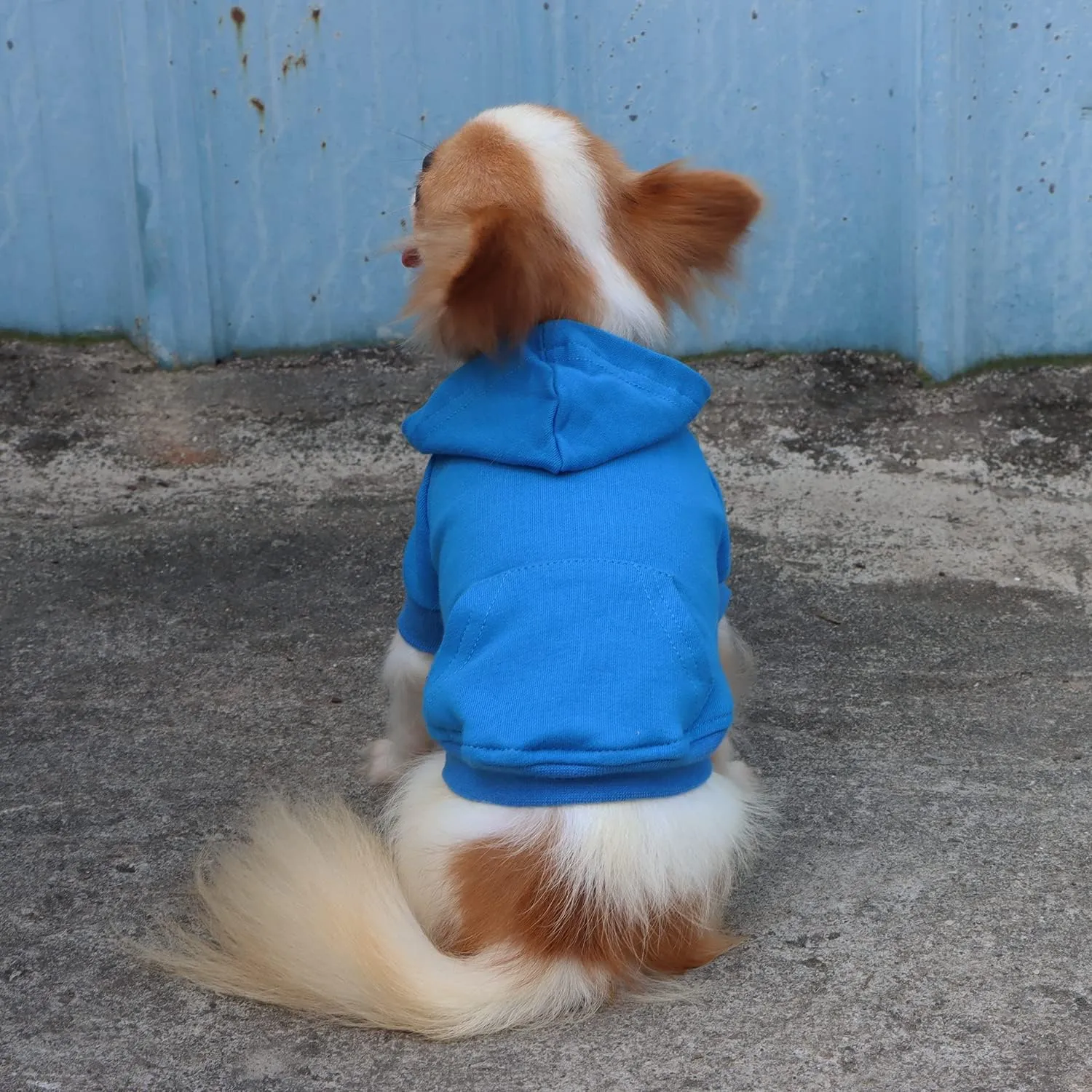 LOPHIPETS Lightweight Cotton Hoodie for Small Dogs  Hooded Sweatshirt for Chihuahuas Puppy and Toy Breeds-Blue/L