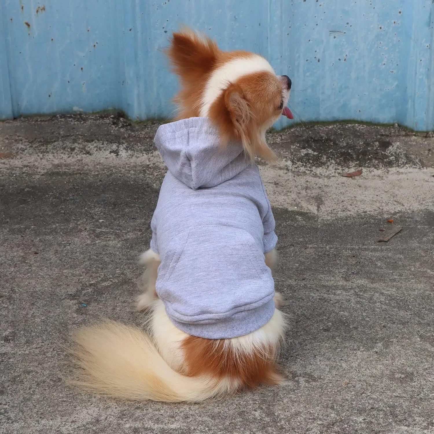 LOPHIPETS Lightweight Cotton Hoodie for Small Dogs  Hooded Sweatshirt for Chihuahuas Puppy and Toy Breeds-Grey/L