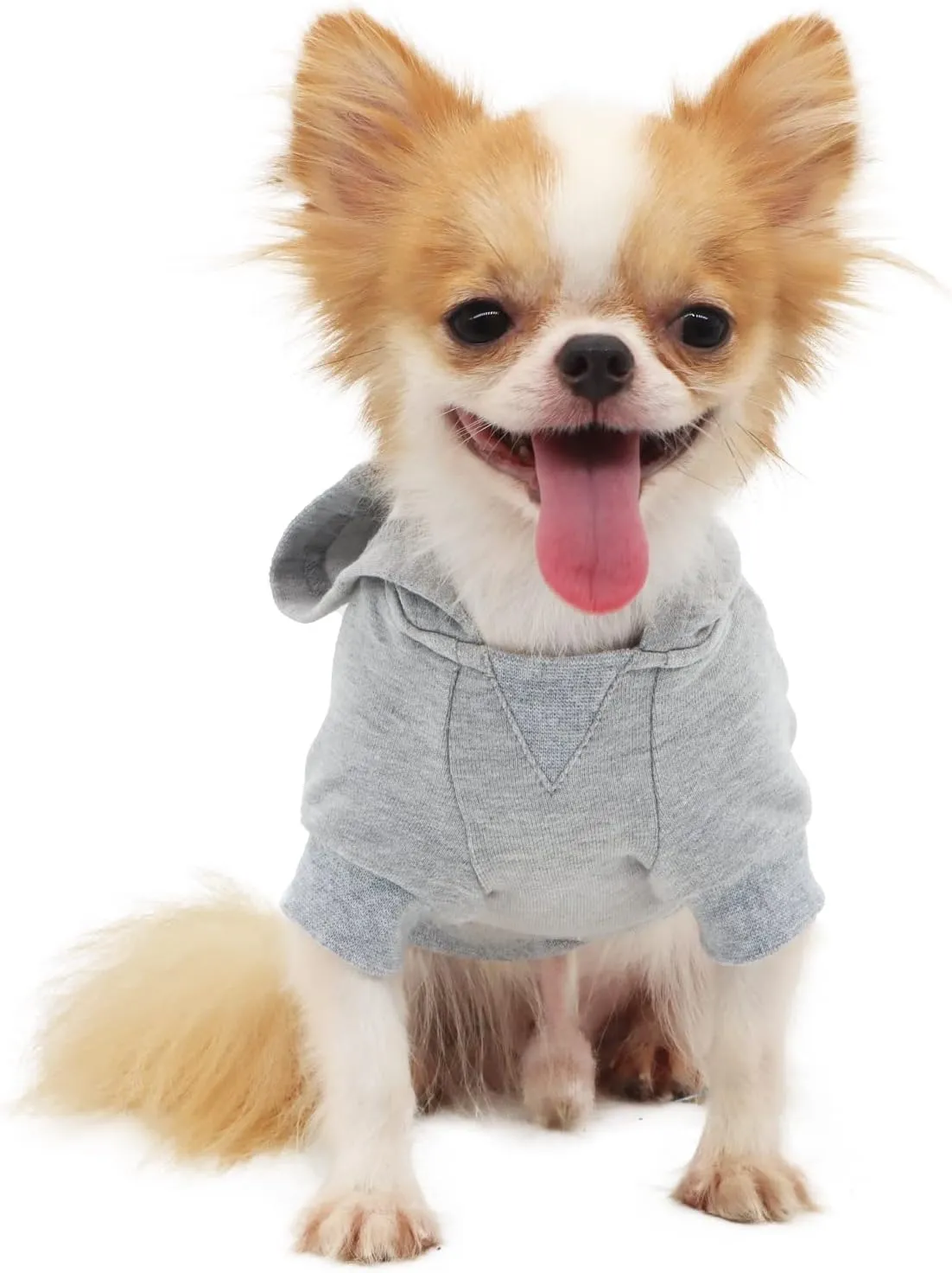 LOPHIPETS Lightweight Cotton Hoodie for Small Dogs  Hooded Sweatshirt for Chihuahuas Puppy and Toy Breeds-Grey/L