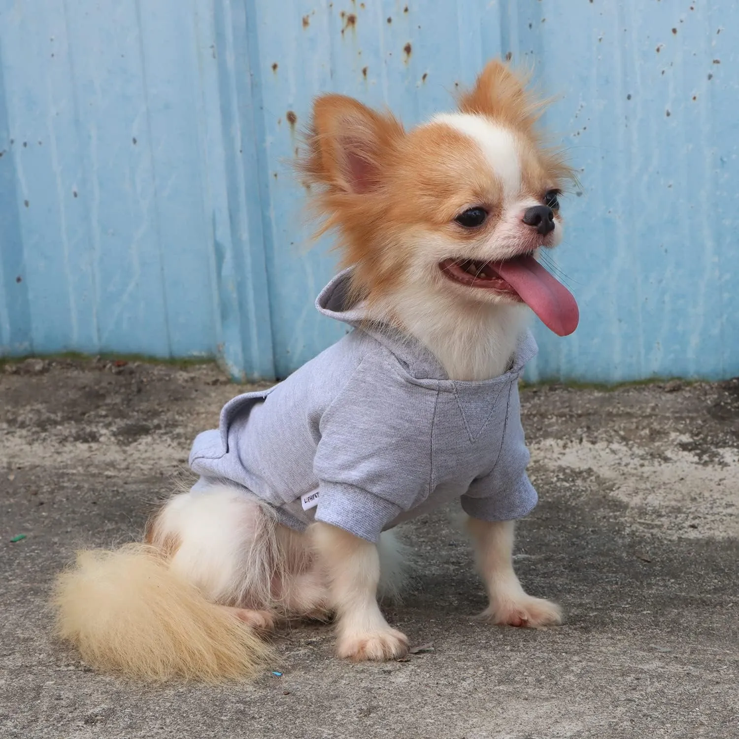 LOPHIPETS Lightweight Cotton Hoodie for Small Dogs  Hooded Sweatshirt for Chihuahuas Puppy and Toy Breeds-Grey/L