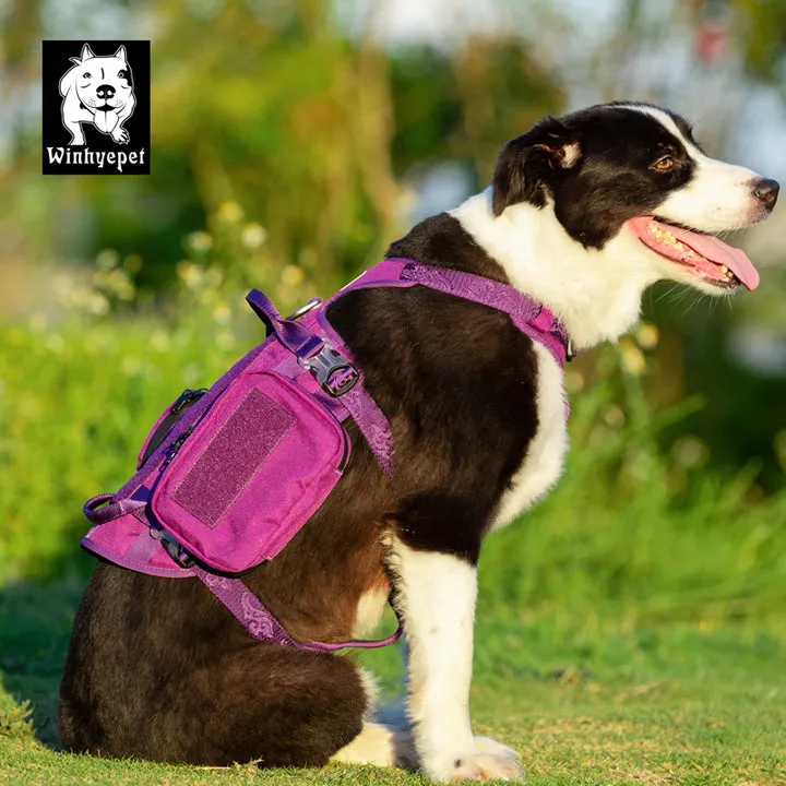 Military Harness - Whinhyepet Purple (M)