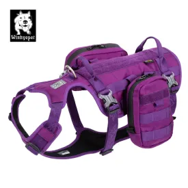Military Harness - Whinhyepet Purple (M)
