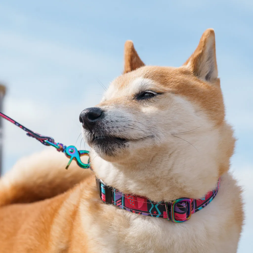 Mud Cloth Adjustable Dog Collar