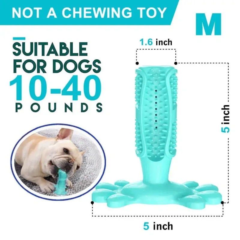 Natural Meat-Flavored Dog Toothpaste and Dog Toothbrush