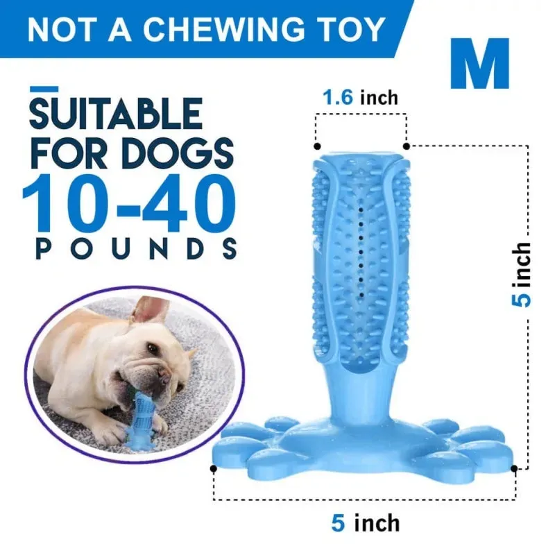 Natural Meat-Flavored Dog Toothpaste and Dog Toothbrush